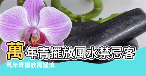 萬年青財位|【萬年青風水禁忌】客廳擺萬青風水禁忌 